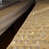 IMG_7728