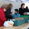 IMG_8015