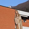 IMG_8251