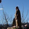IMG_8331