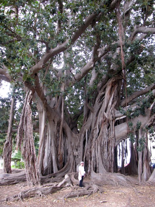 Palermo-12