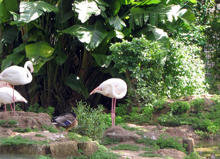 Palermo-29