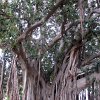 Palermo-12