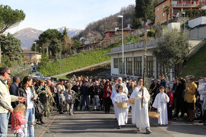 IMG_0366