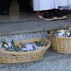 IMG_0361