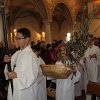 IMG_0383